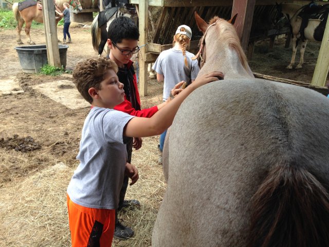 2017 Horseback Riding